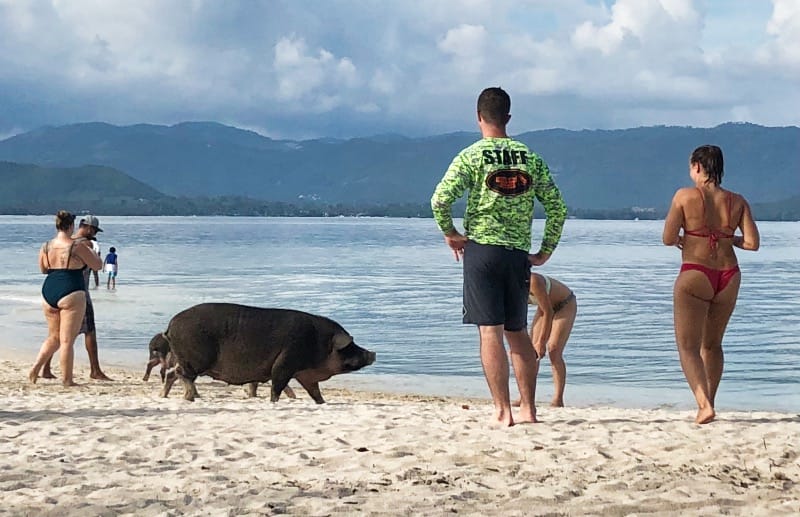 Charter a private Yacht to Koh Madsum (Pig Island, Koh Mutsum) -  Beautiful scenery at Koh Madsum (Pig Island, Koh Mutsum) -