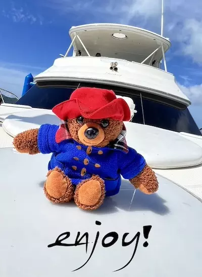 Mascot of Deep Blue Co. Ltd Mascot of Deep Blue Co. Ltd